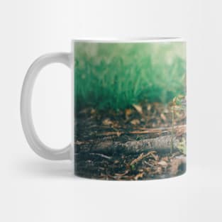 Squirrel! Mug